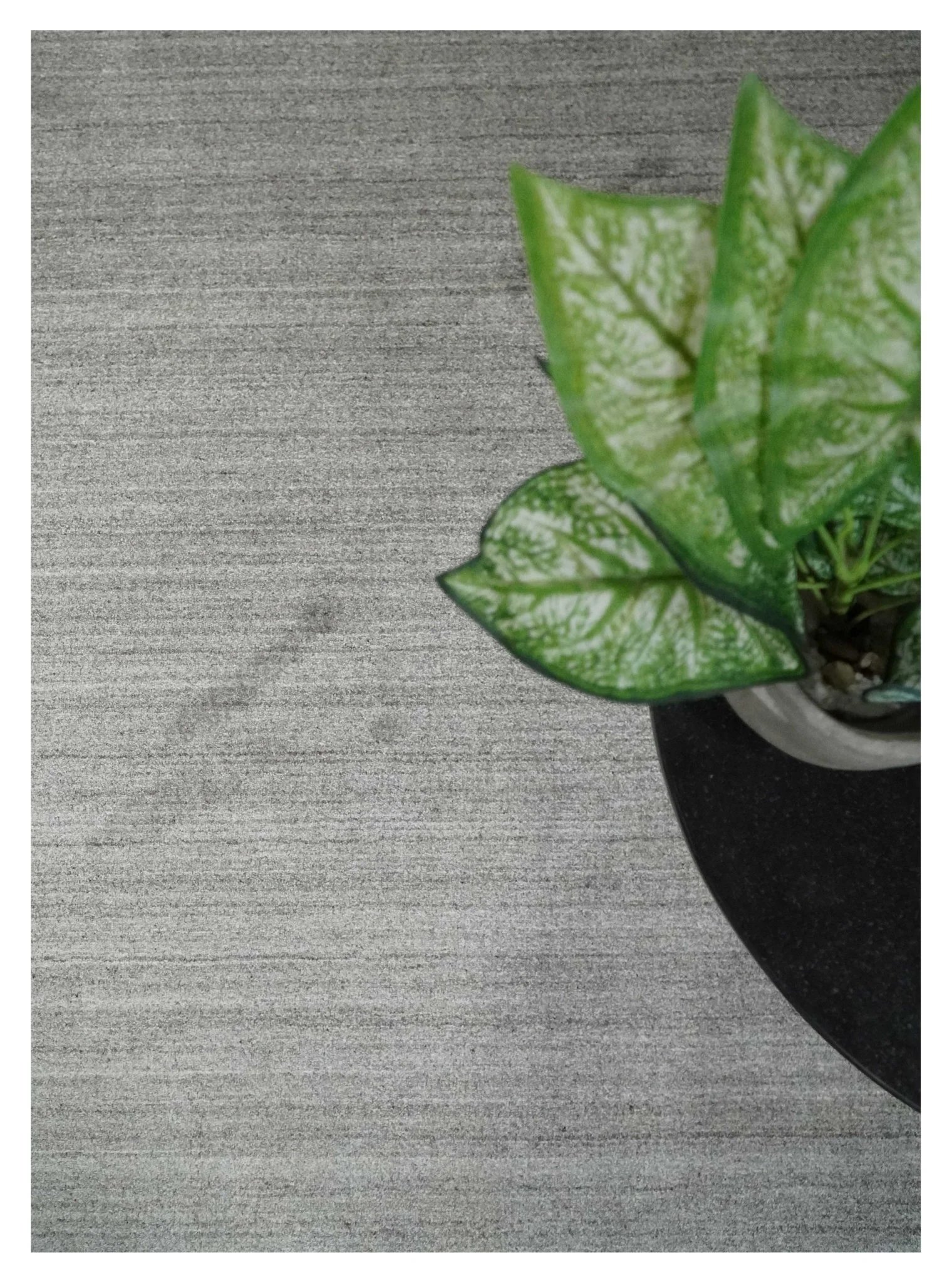 Solid Shaded Gray Shaded Scandinavian 5x7 Blended Wool Flatwoven Area Rug | HL33 - Image 10