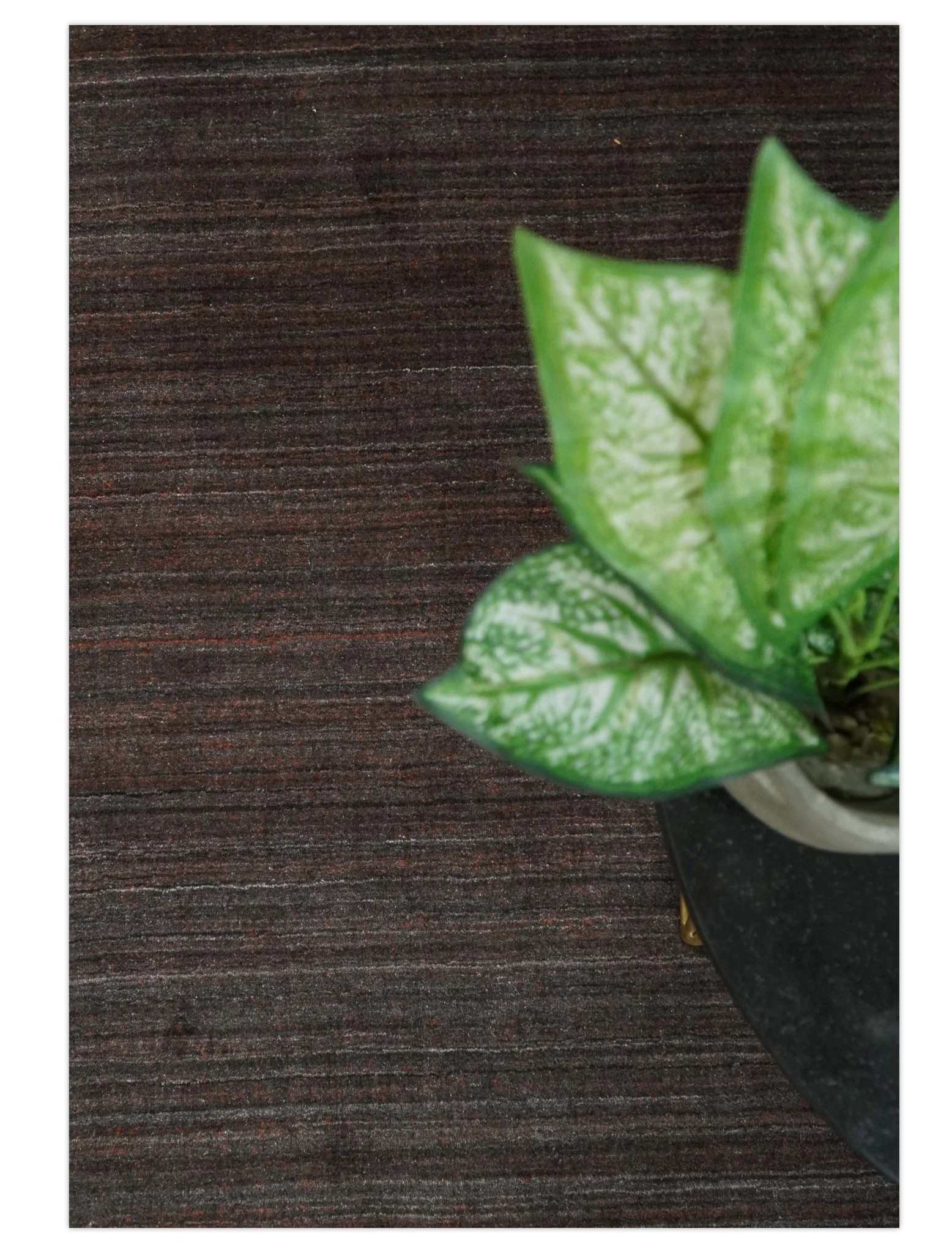Solid Tan Scandinavian 5x7 Blended Wool Flatwoven Area Rug, Dinning, Kids Rug | HL19 - Image 9