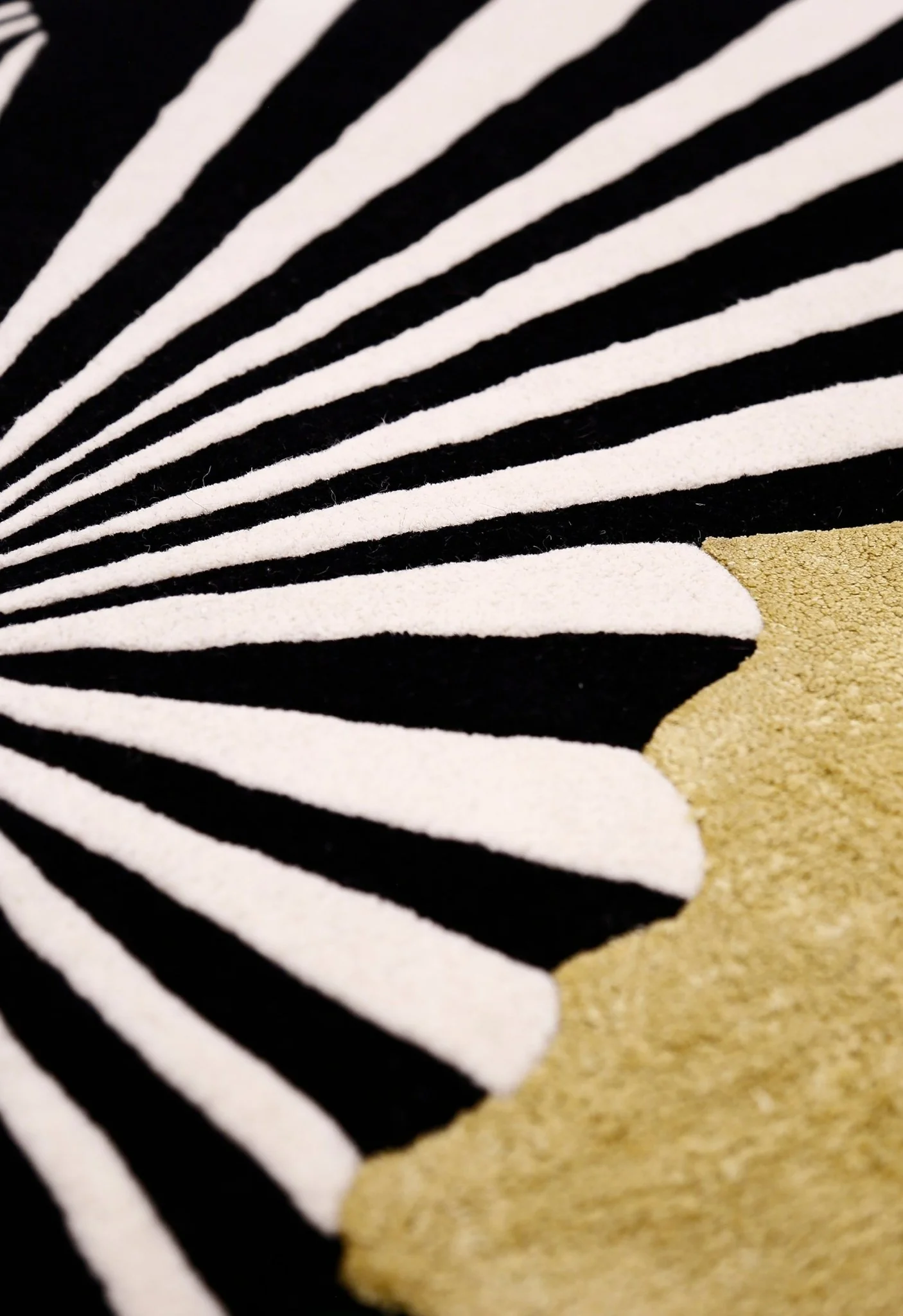 Sunflare Fan Black Hand Tufted 5x5 Wool Area Rug - Image 7