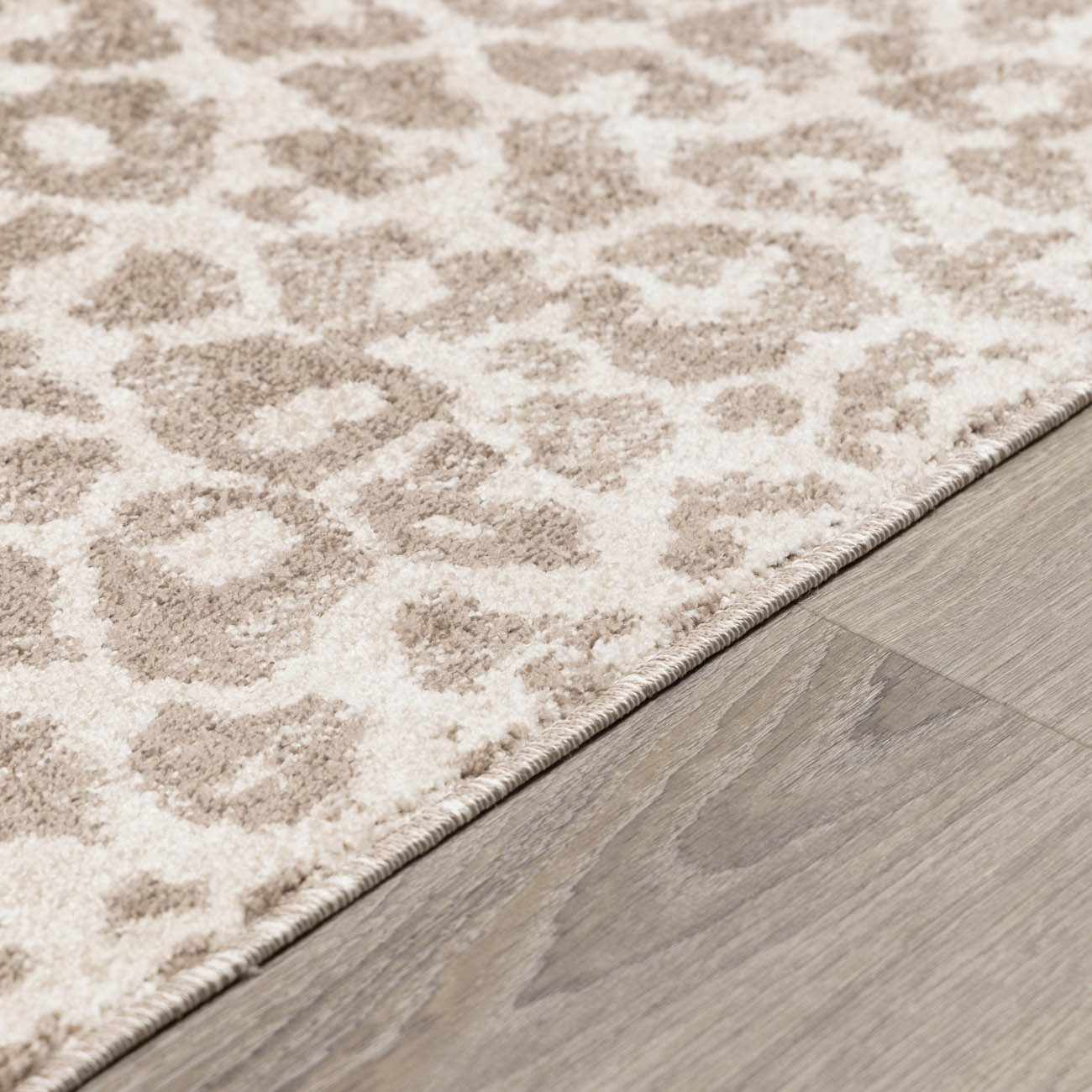 Tan Bonhill Leopard Print Area Rug - Image 10