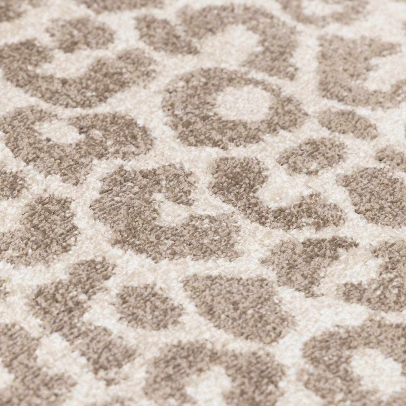 Tan Bonhill Leopard Print Area Rug - Image 13