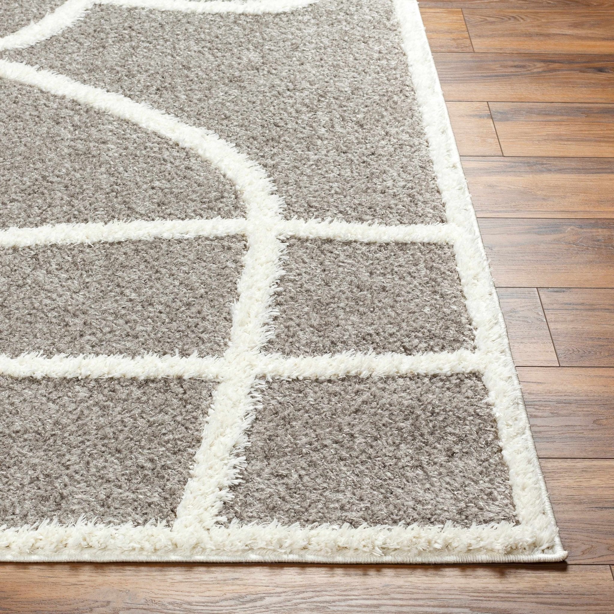 Taupe and Ivory Contemporary Design Machine Woven Plush Pile Area Rug - Image 2