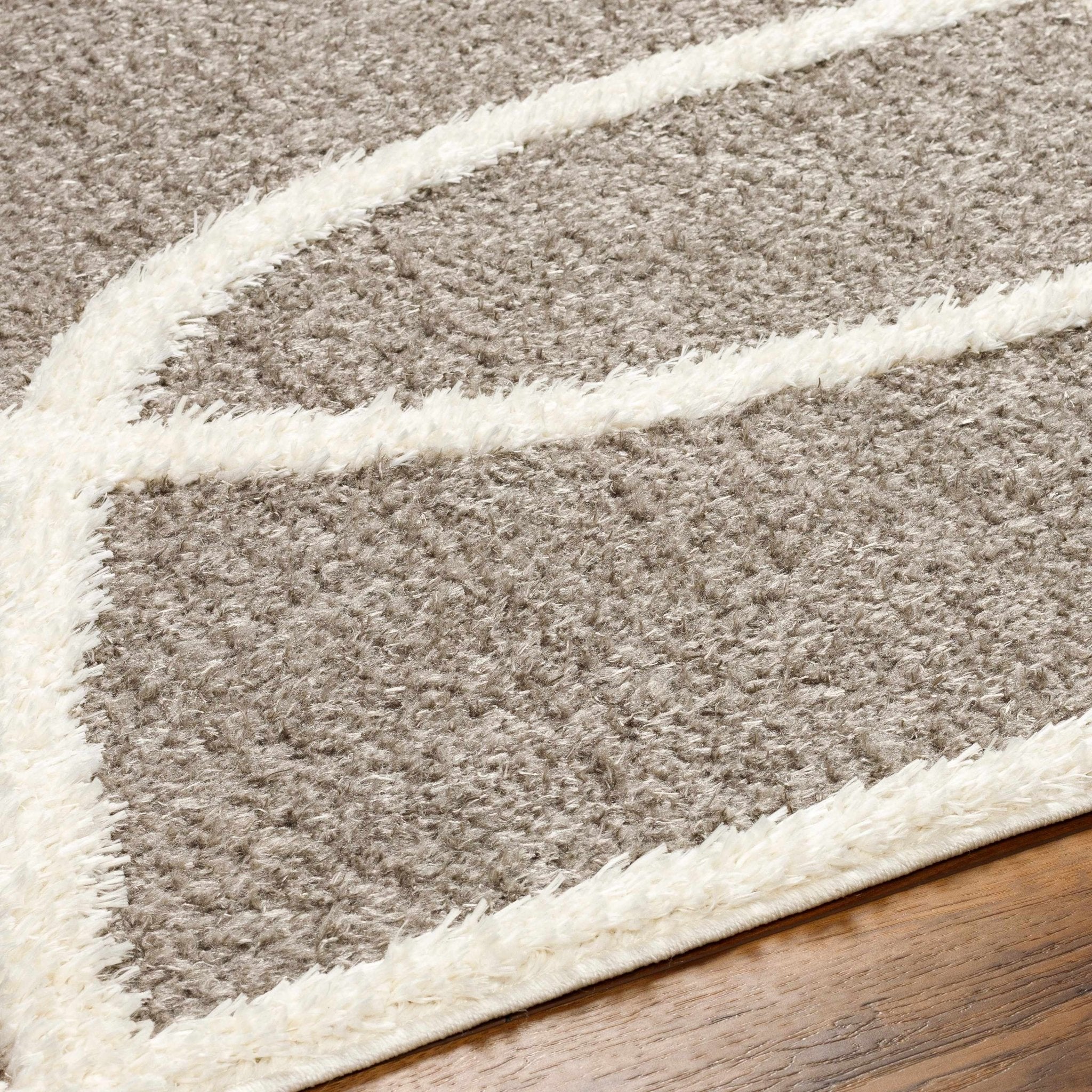 Taupe and Ivory Contemporary Design Machine Woven Plush Pile Area Rug - Image 5