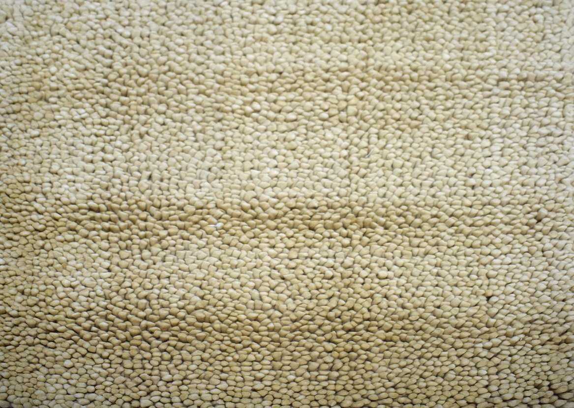 Traditional Handmade Wool 3' X 3' Area Rug |The Rug Decor | TRD600233 - Image 7