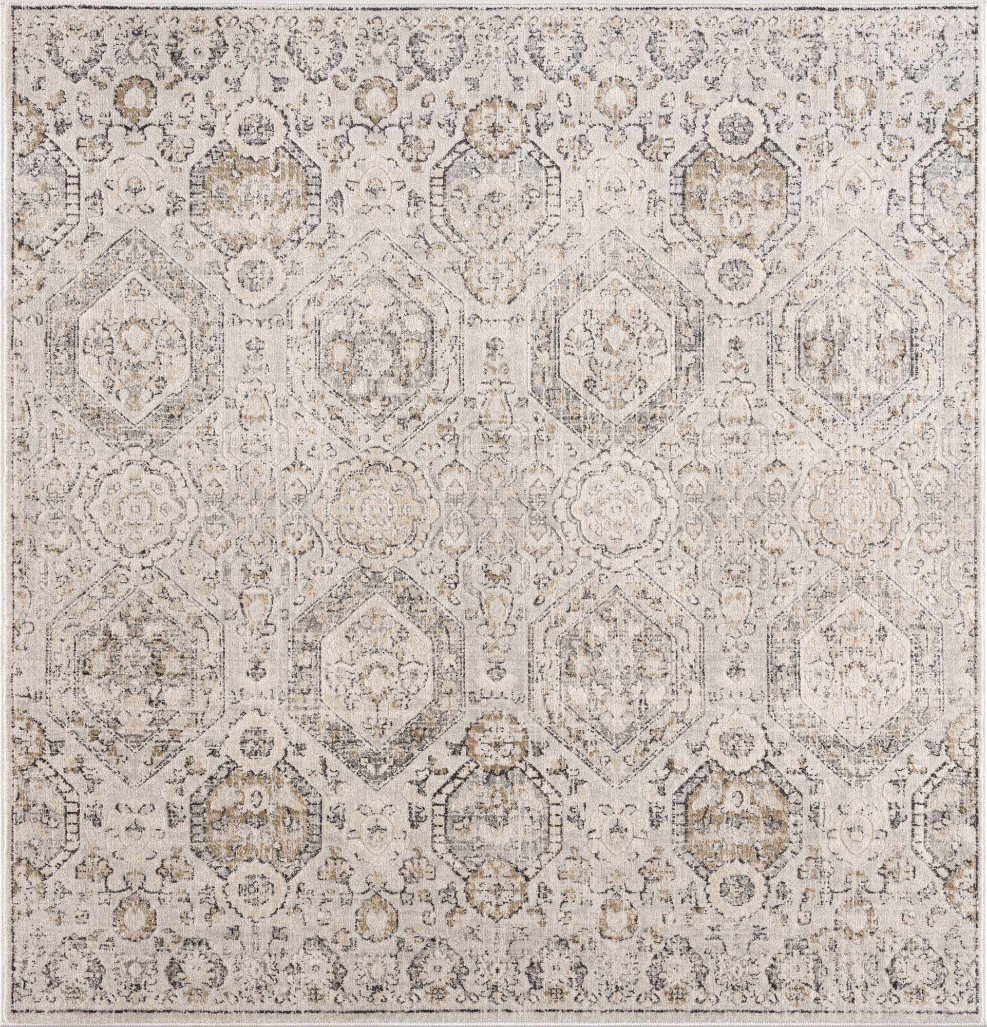 Traditional Overall Design Beige and Brown Medium Pile Area Rug - Image 14