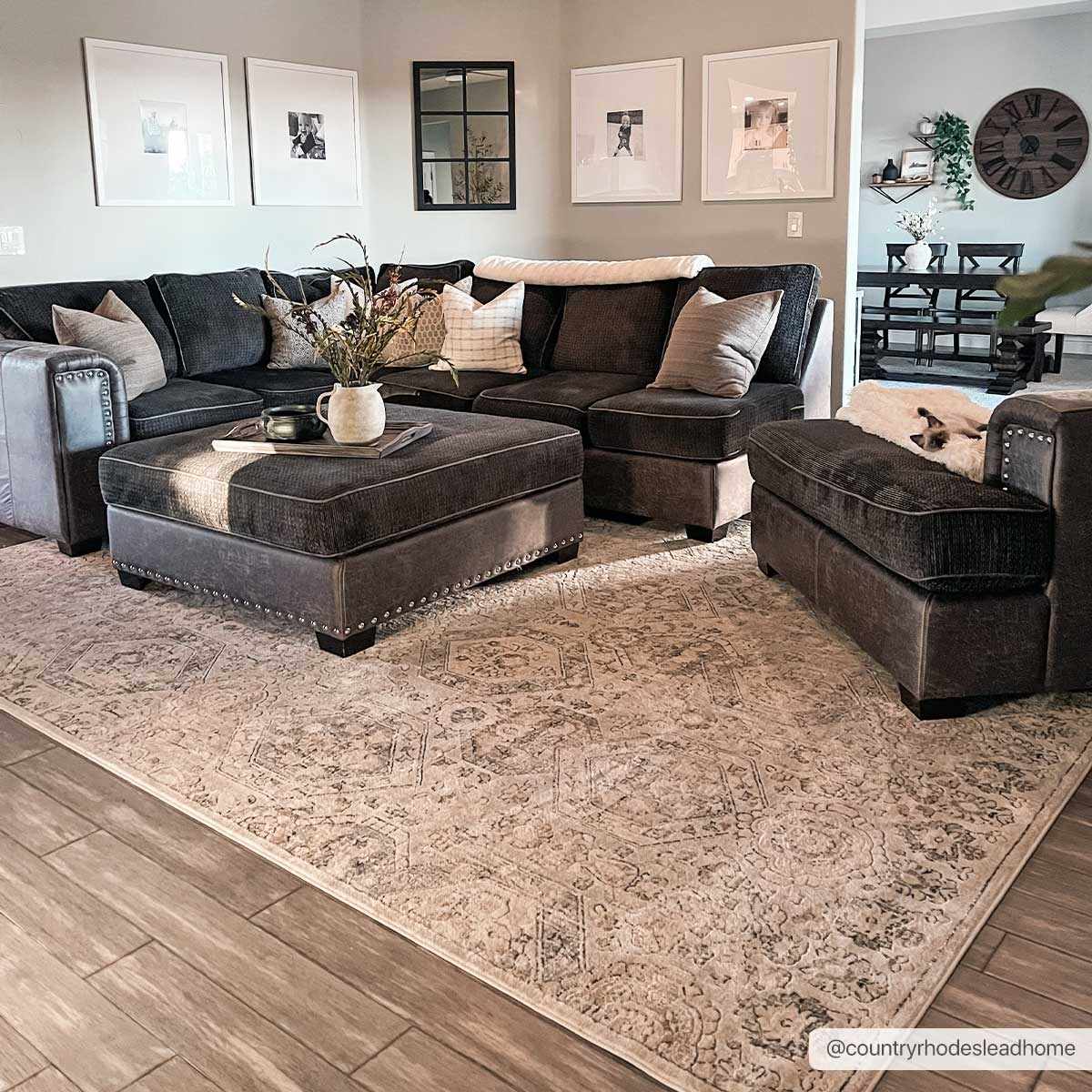 Traditional Overall Design Beige and Brown Medium Pile Area Rug - Image 7