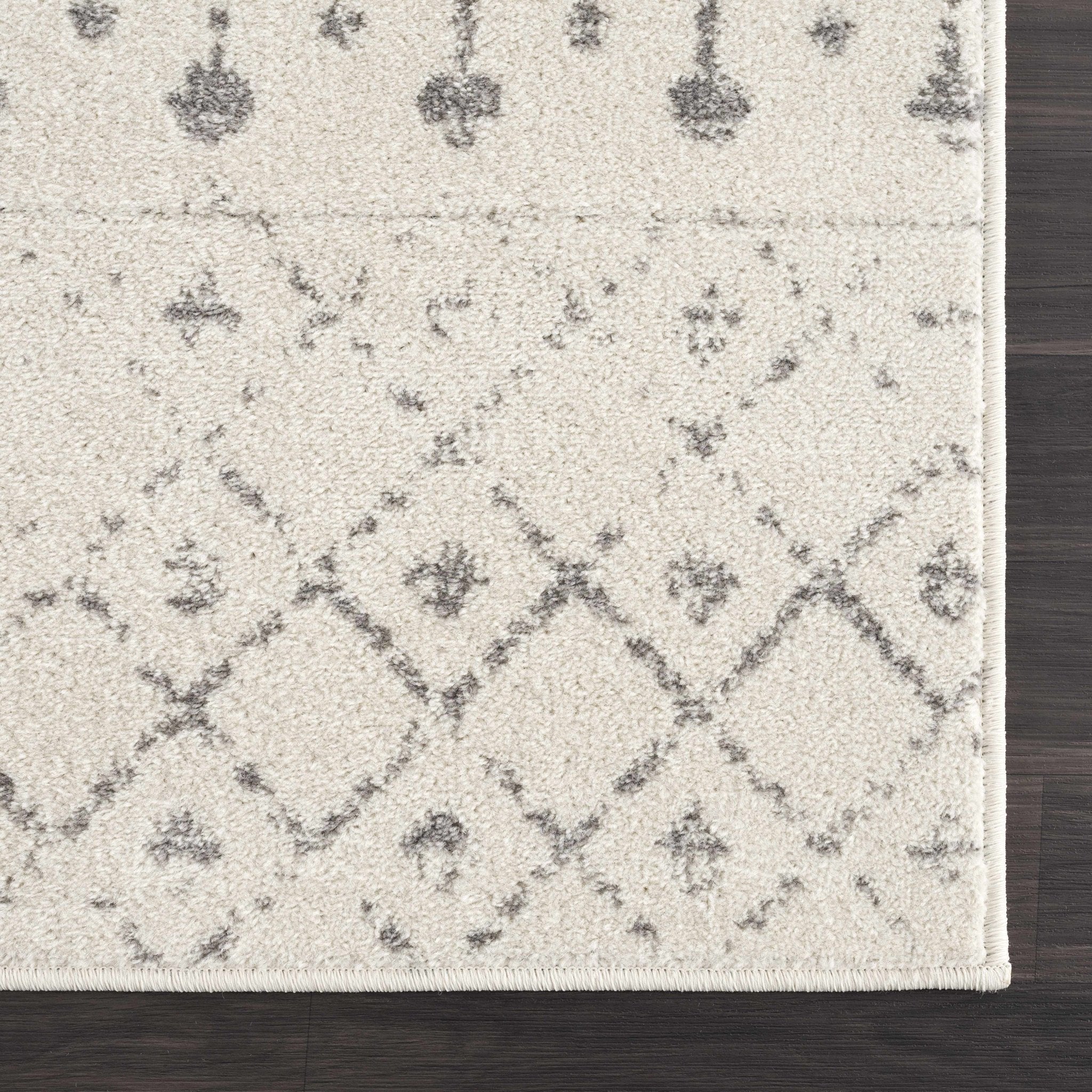 Traditional Beige and Gray low pile Tribal Trellis indoor Area Rug - Image 4