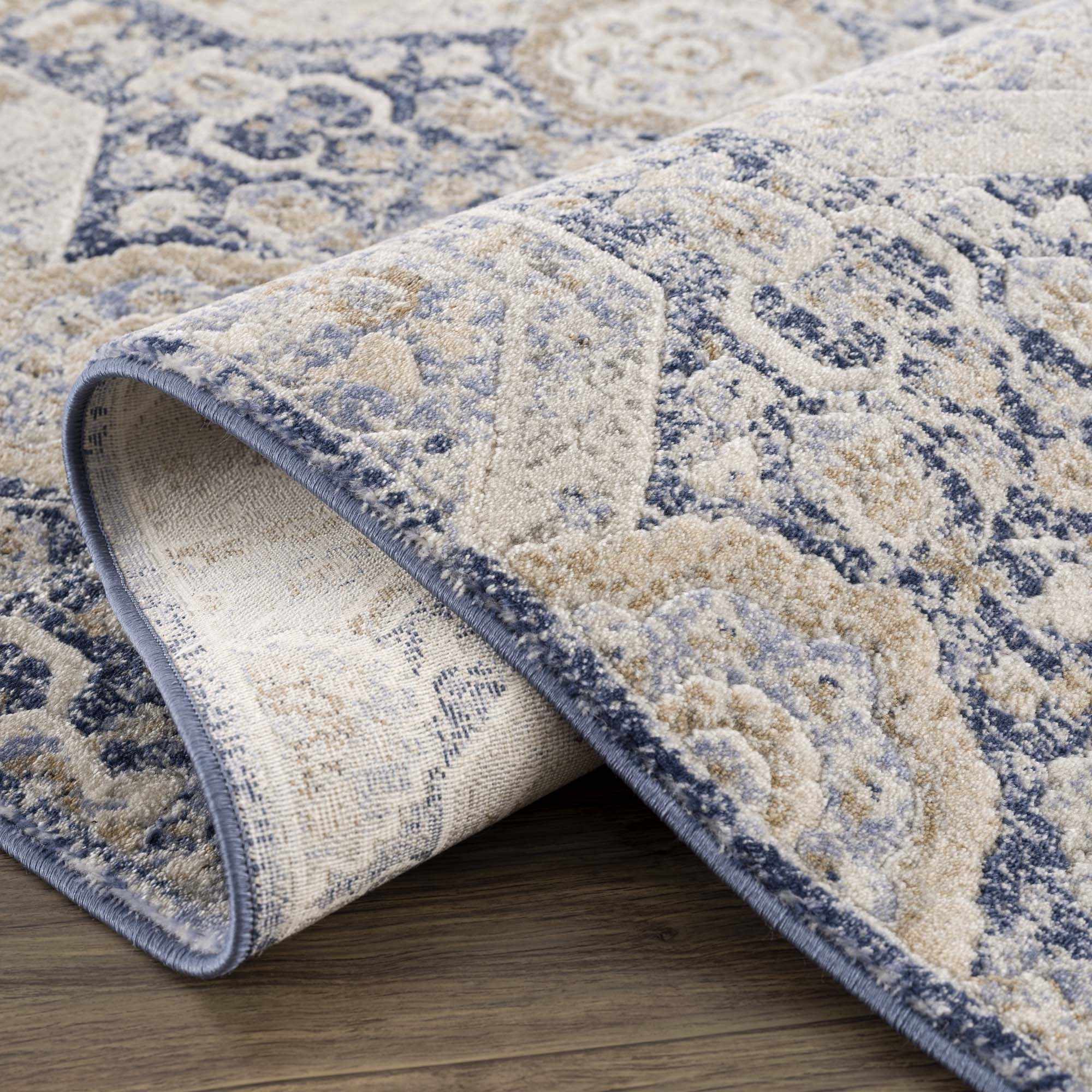Traditional Transitional Blue and Beige Medium Pile Area Rug - Image 5