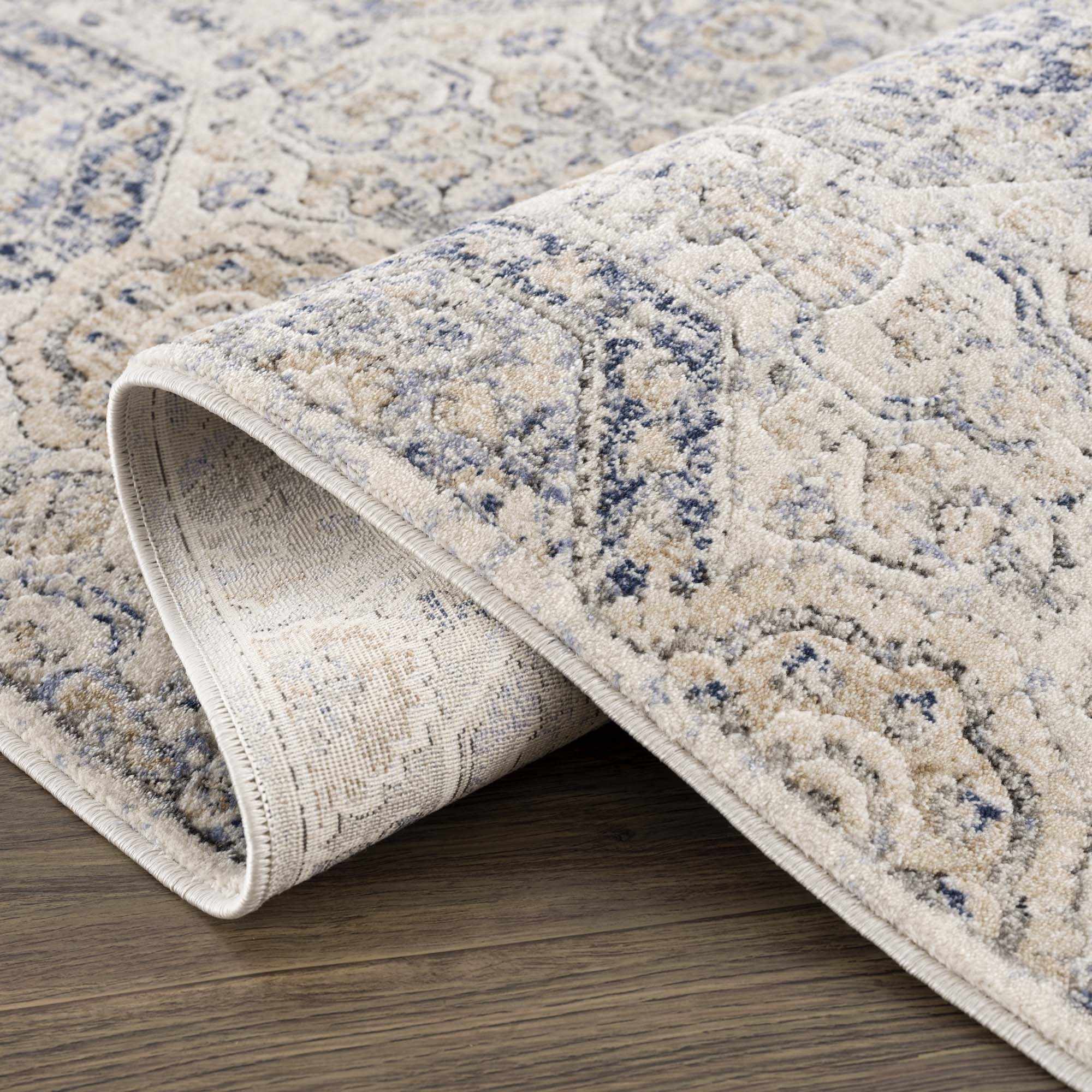Traditional Blue and Beige Multi color Medium Pile Area Rug - Image 10