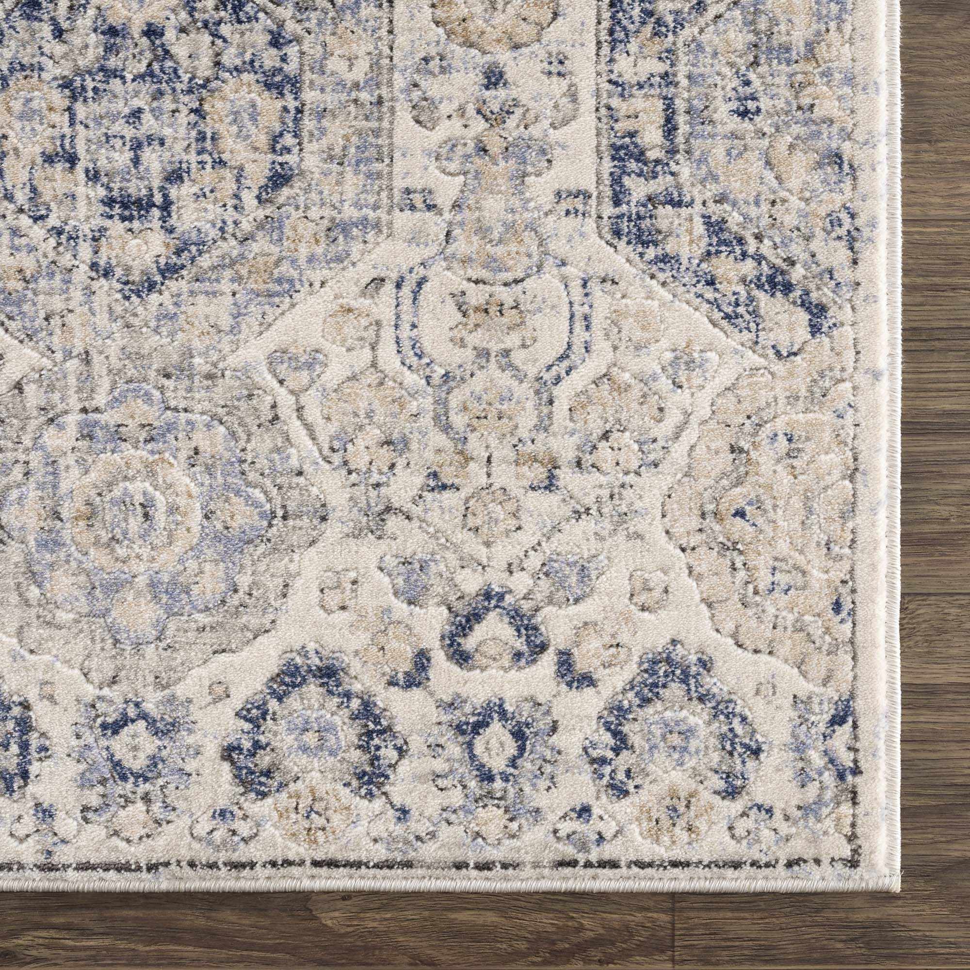 Traditional Blue and Beige Multi color Medium Pile Area Rug - Image 11