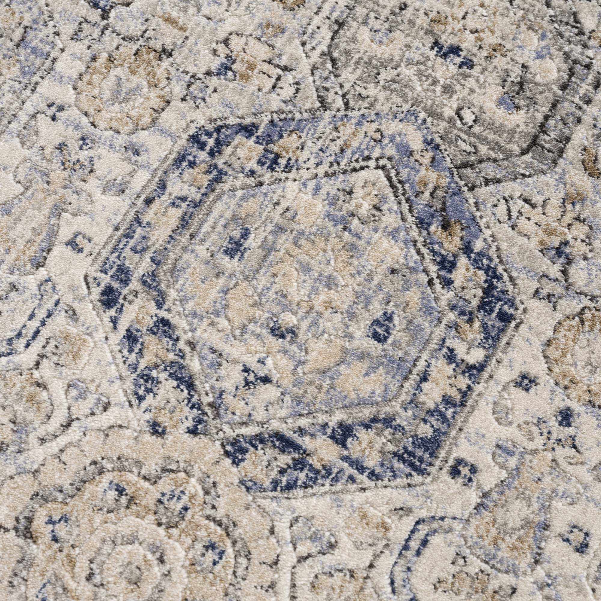 Traditional Blue and Beige Multi color Medium Pile Area Rug - Image 13