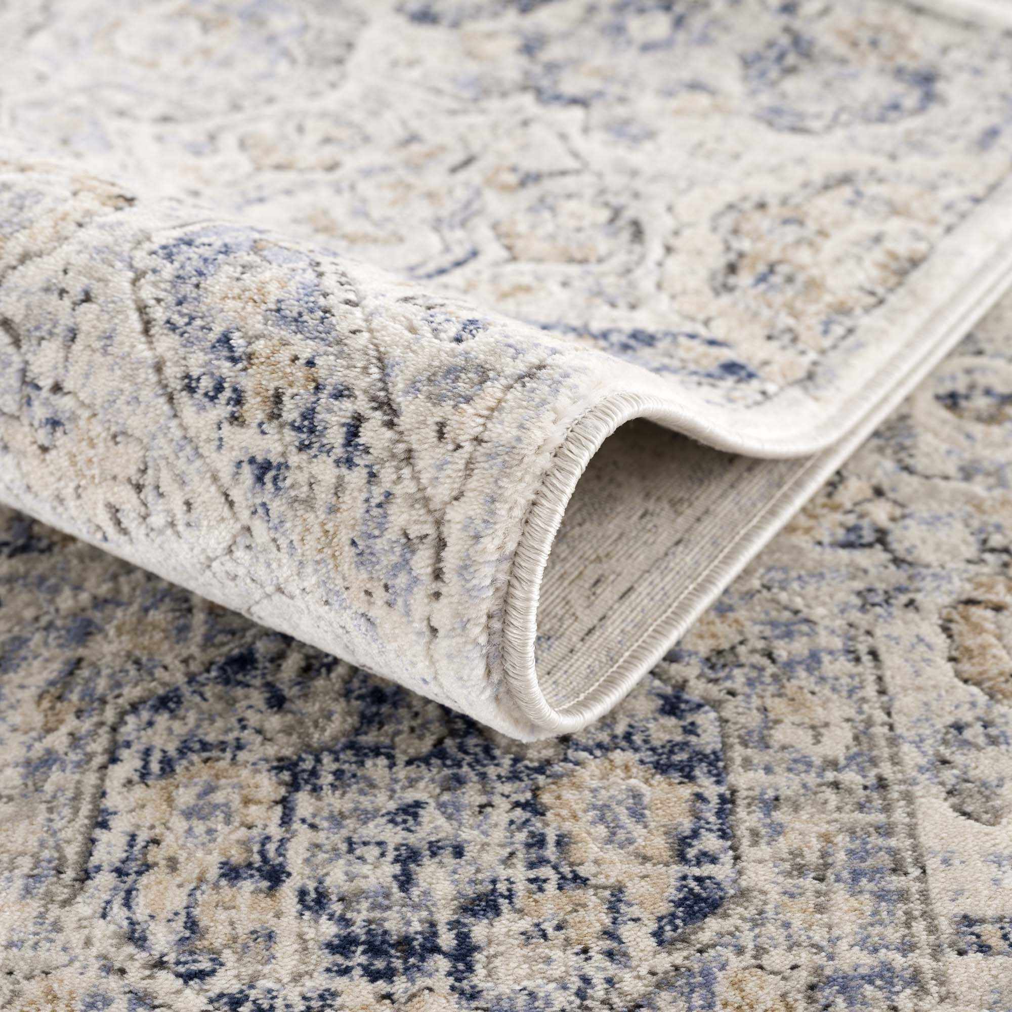 Traditional Blue and Beige Multi color Medium Pile Area Rug - Image 9