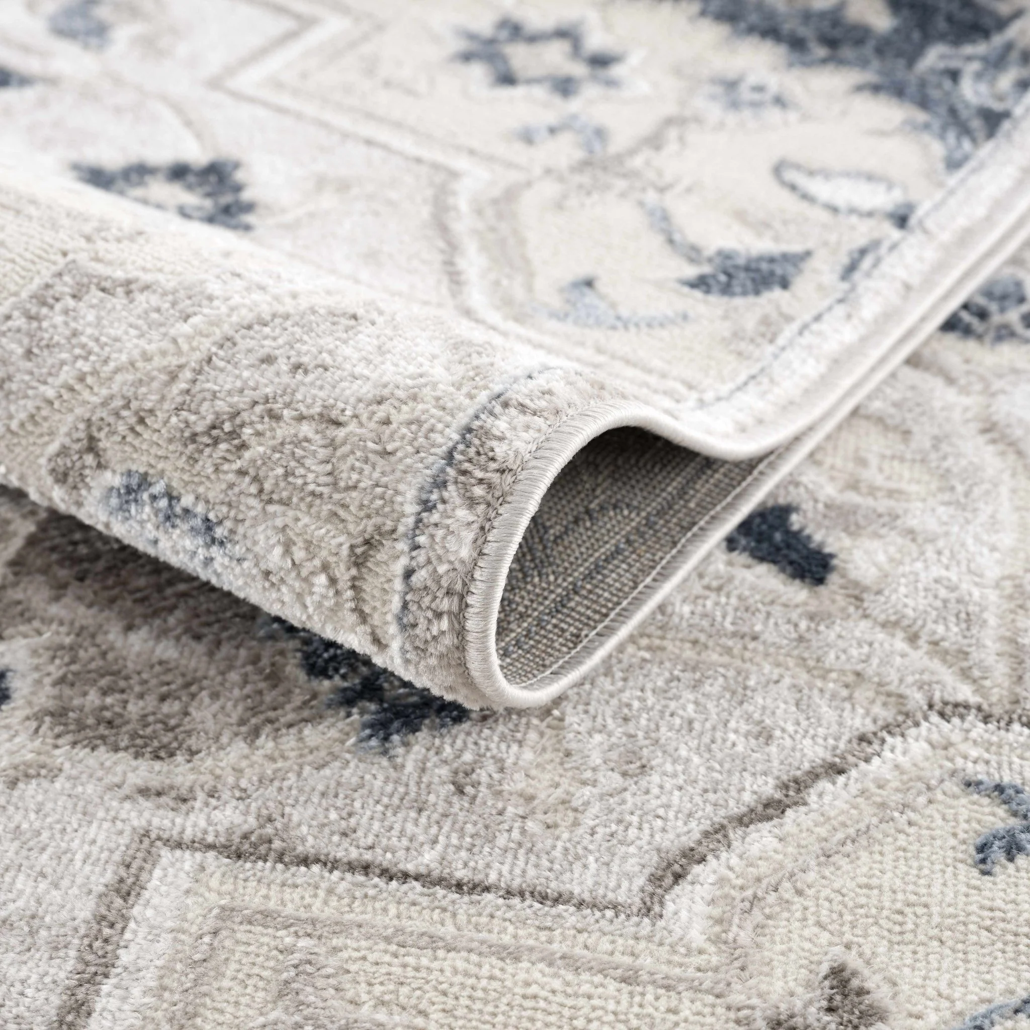 Traditional Medallion Beige, Brown and Blue Area Rug - Image 4