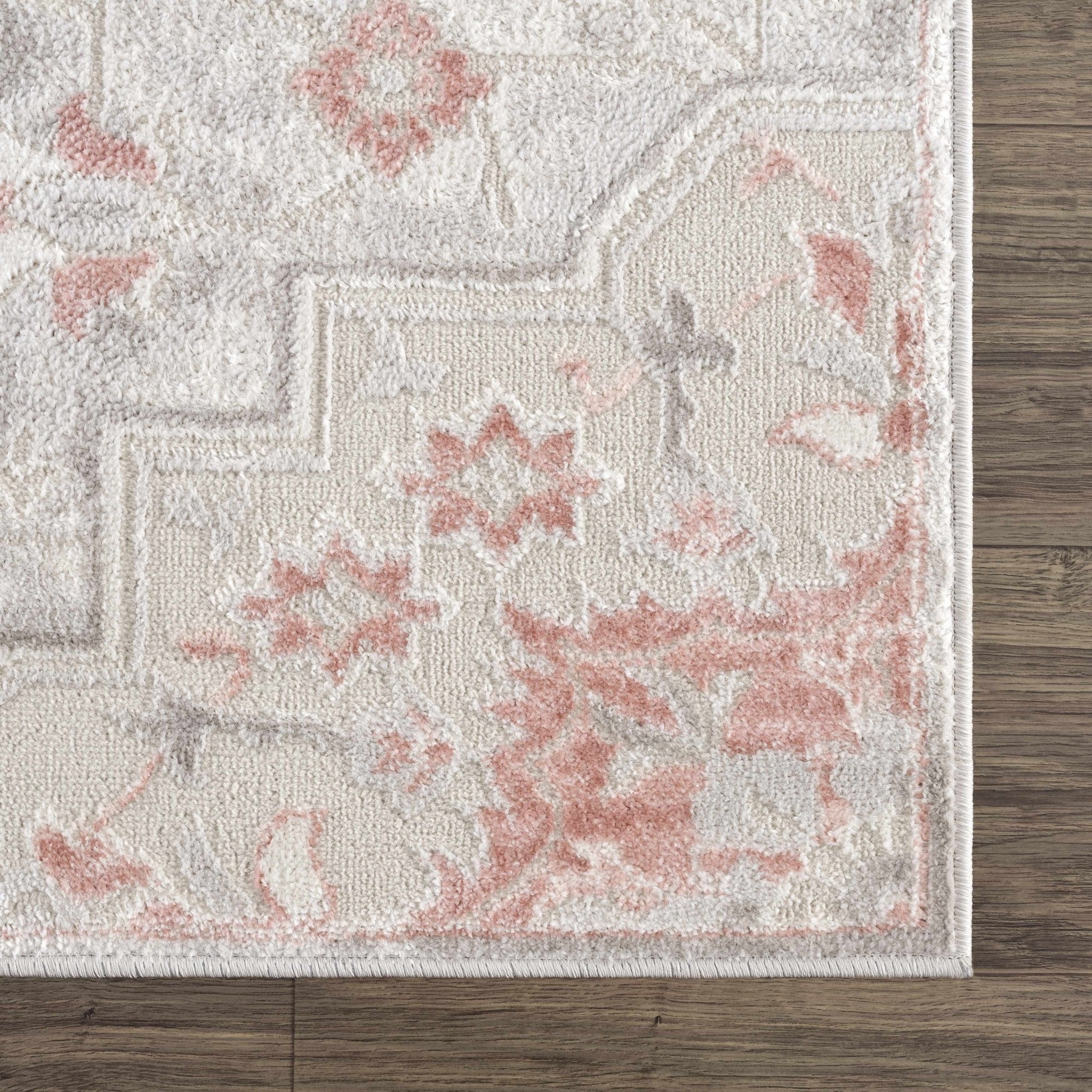 Traditional Floral Medallion Ivory, Silver and Peach Area Rug - Image 10