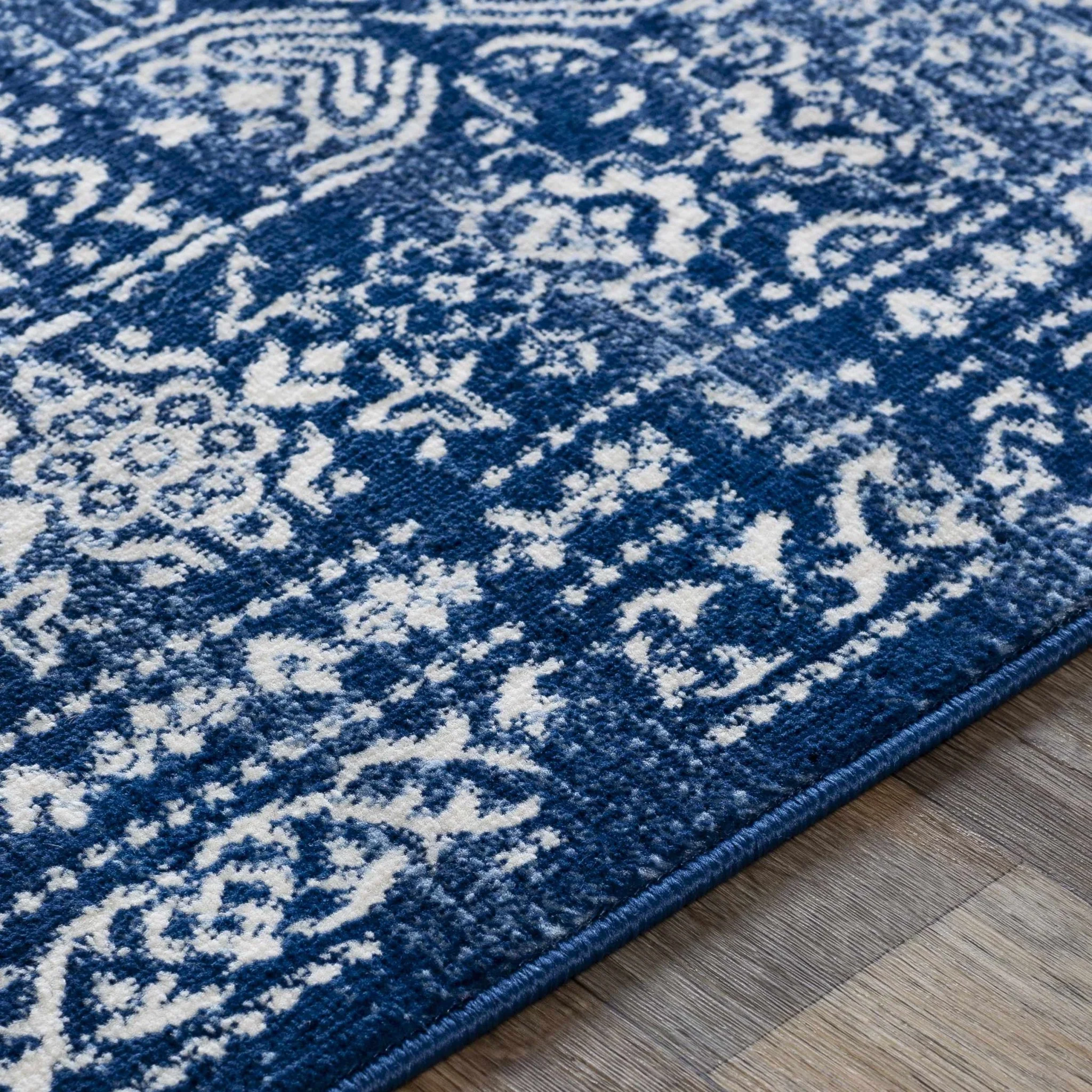 Traditional Transitional Ivory and Blue Medium Pile Area Rug - Image 6