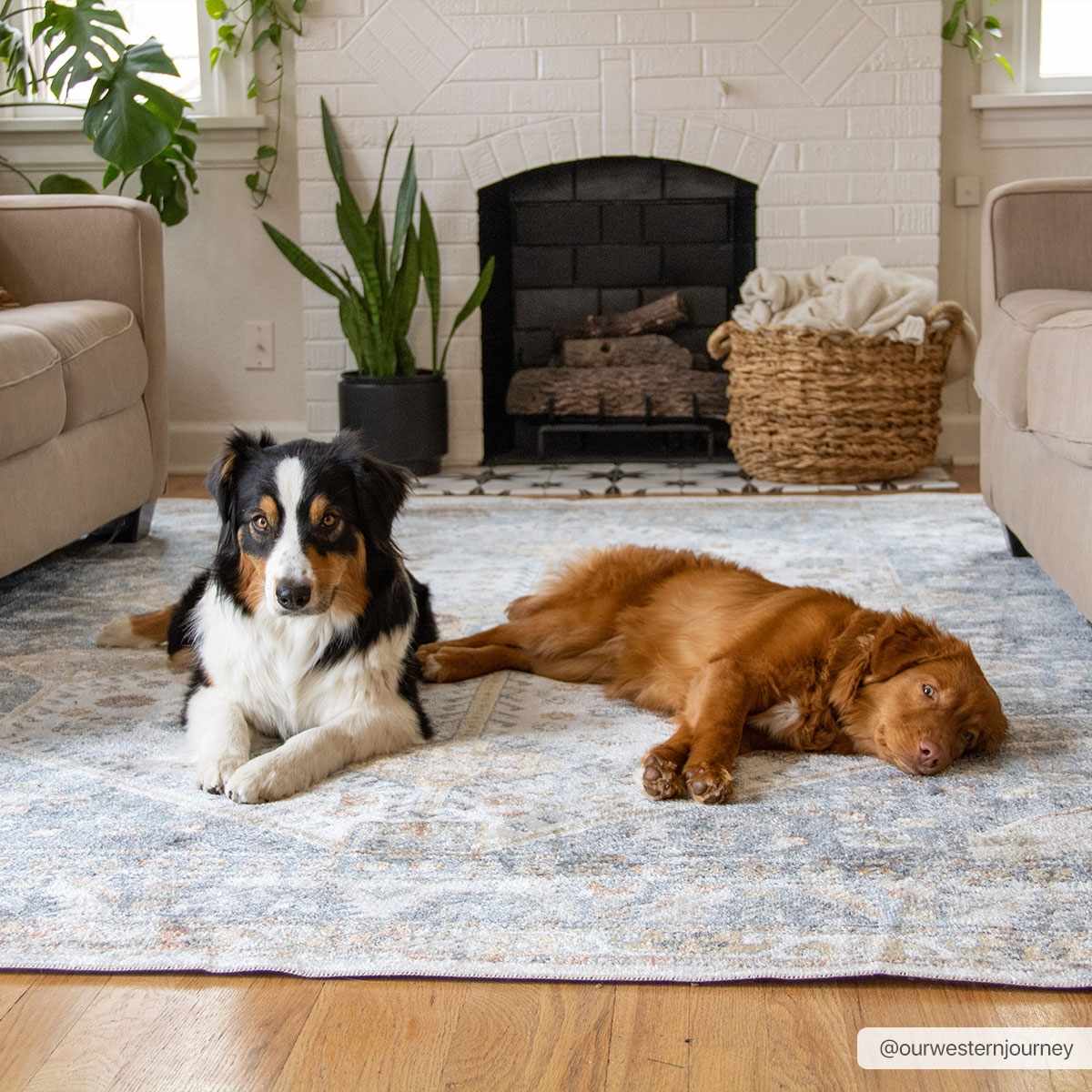 Traditional Ivory, Charcoal and Camel Vintage Style Machine Washable Area Rug - Image 3
