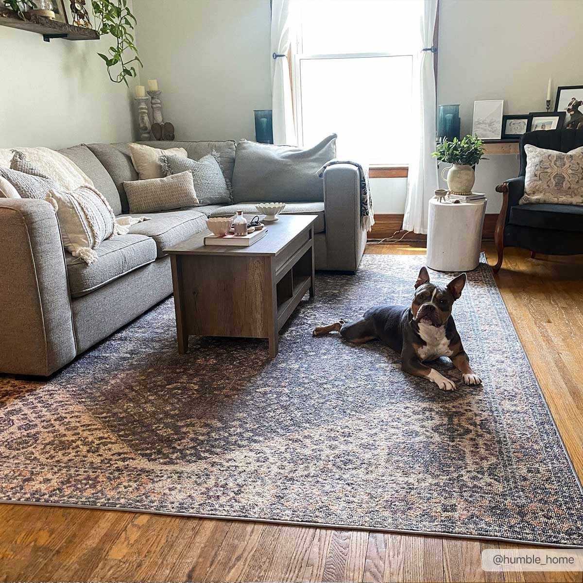 Traditional Oriental Design Beige and Purple Medium pile Area rug - Image 3