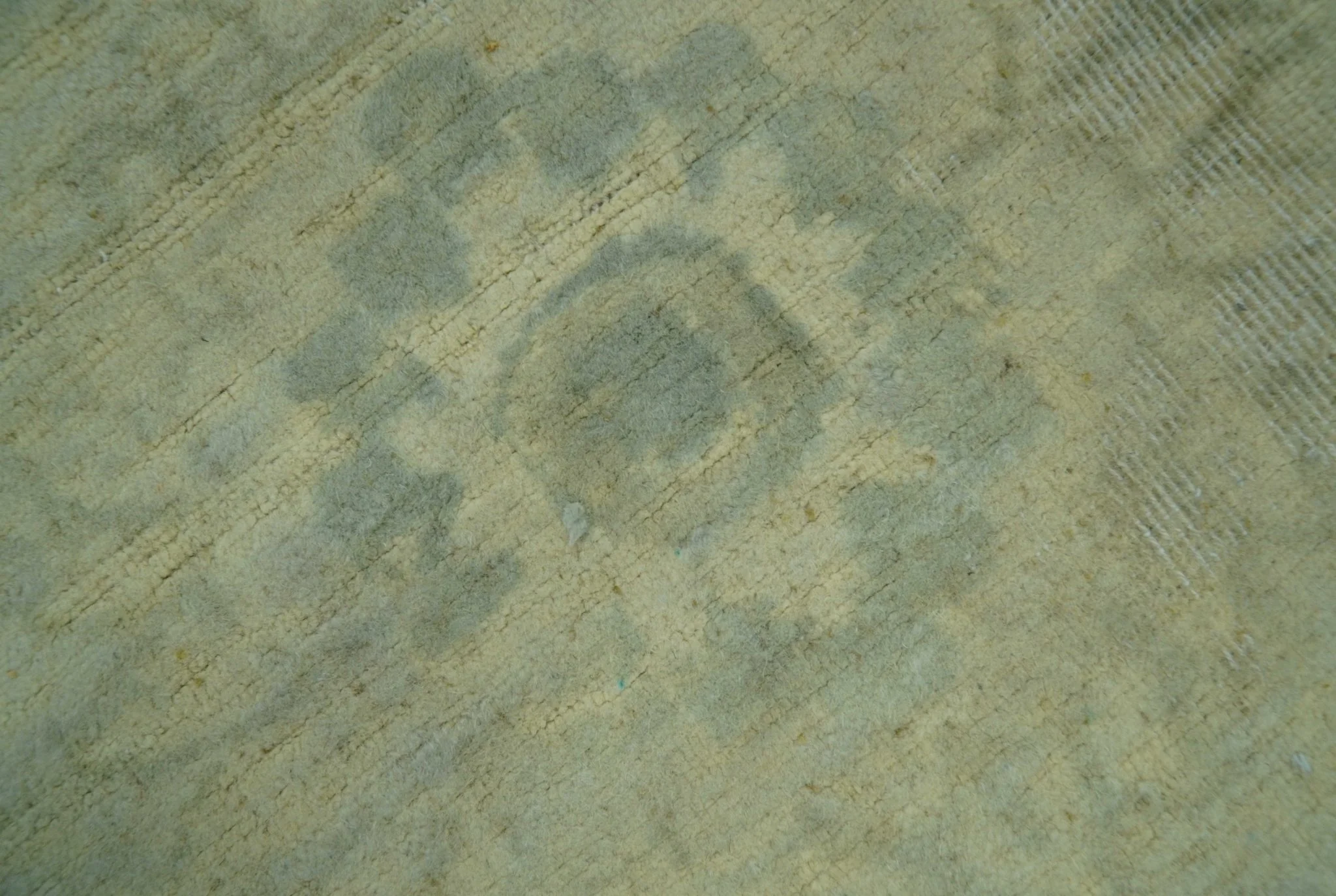 Distressed Traditional Design Blue And Beige Hand Knotted 8x10 Wool Area Rug - Image 5