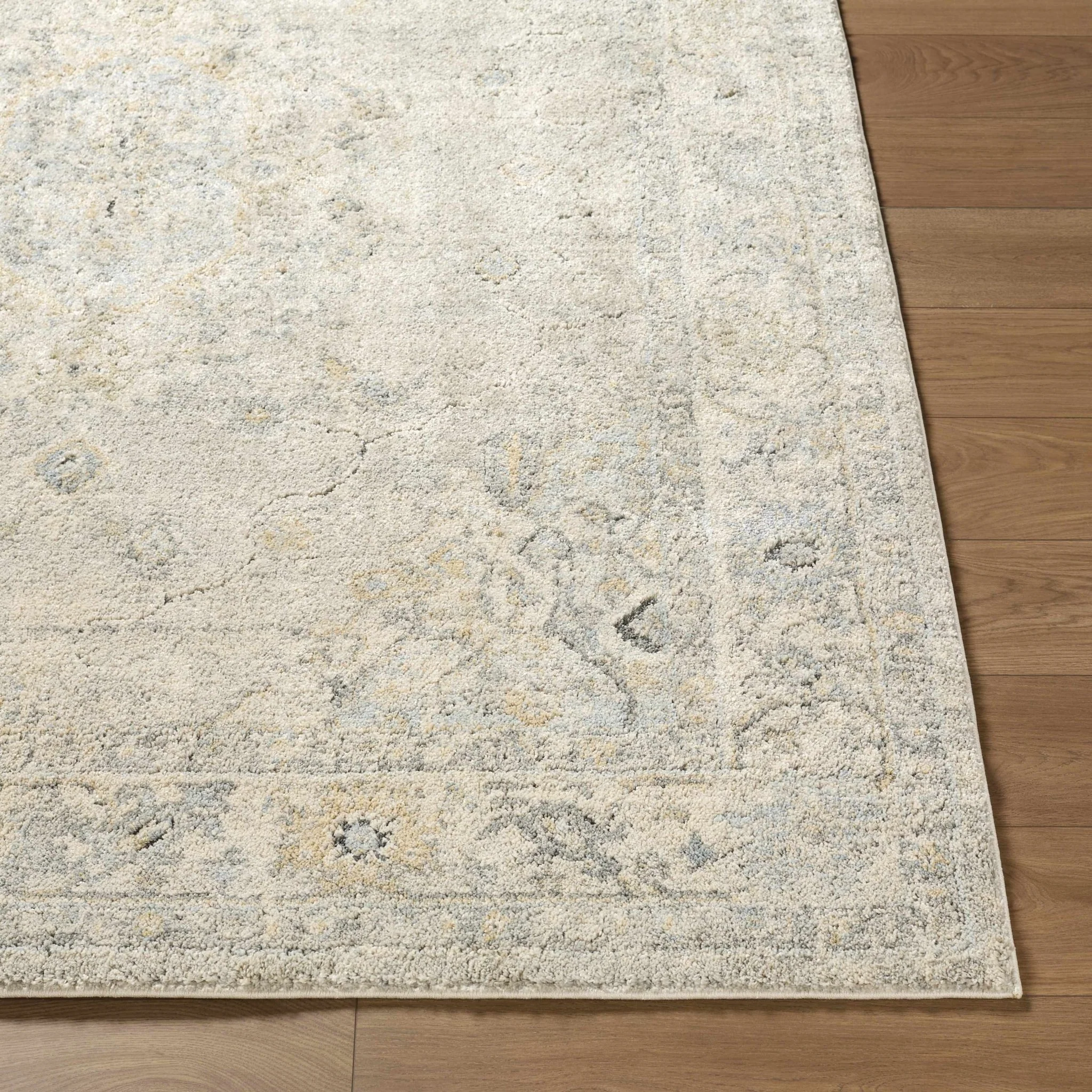 Transitional Medallion Style Gray Area Rug - Image 2