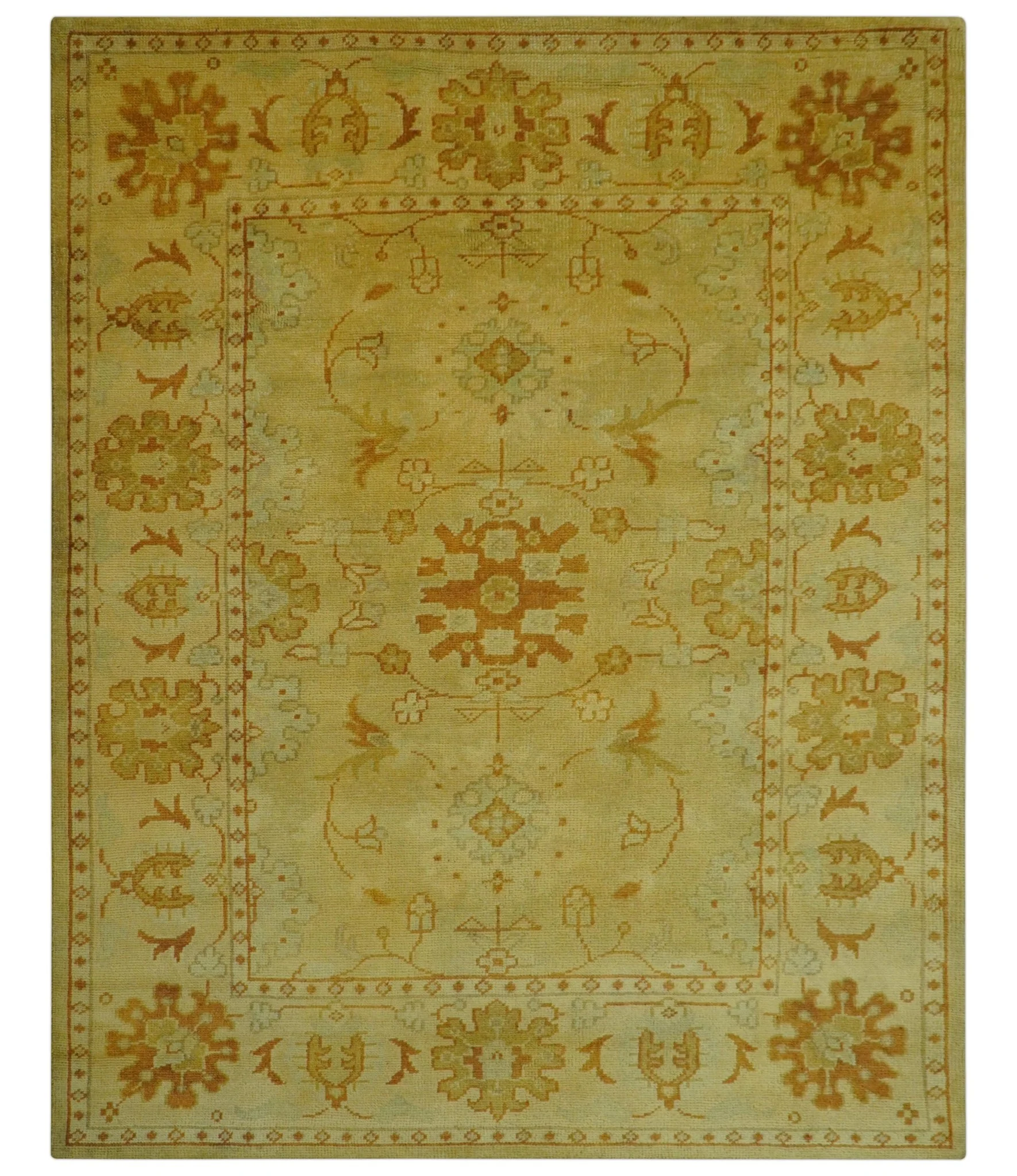 Traditional Design Antique beige and rust 8x10 Hand Knotted Wool Area Rug - Image 10