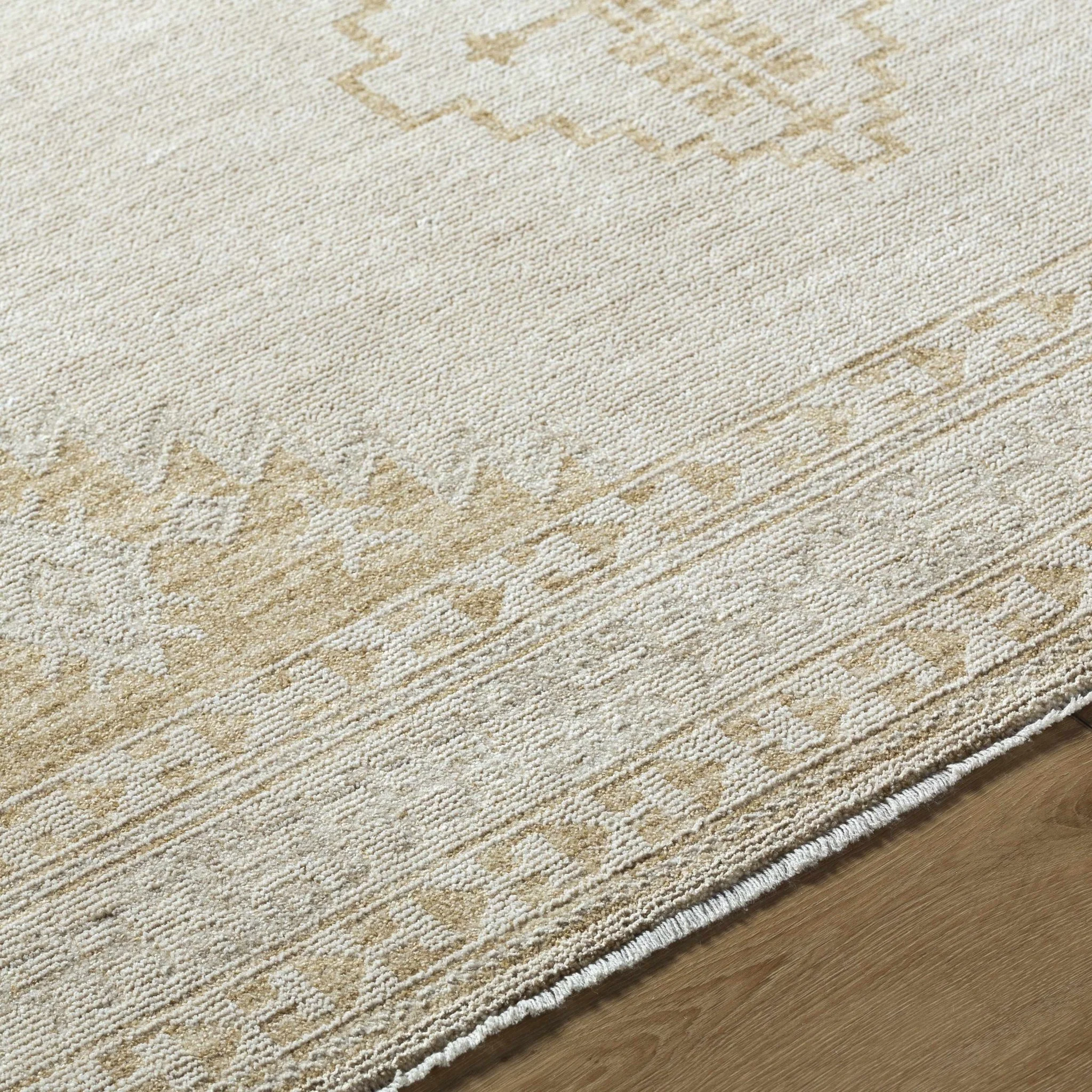 Transitional Bohemian Design Tan Machine Woven Rug - Image 5