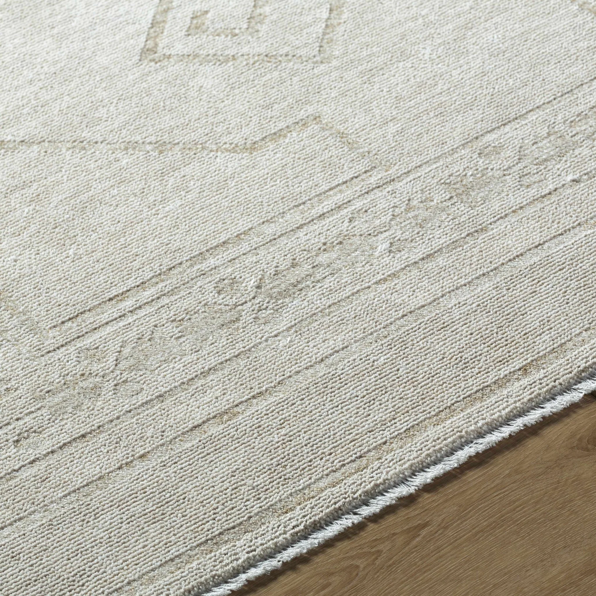 Transitional Bohemian Silver Machine Woven Rug - Image 5