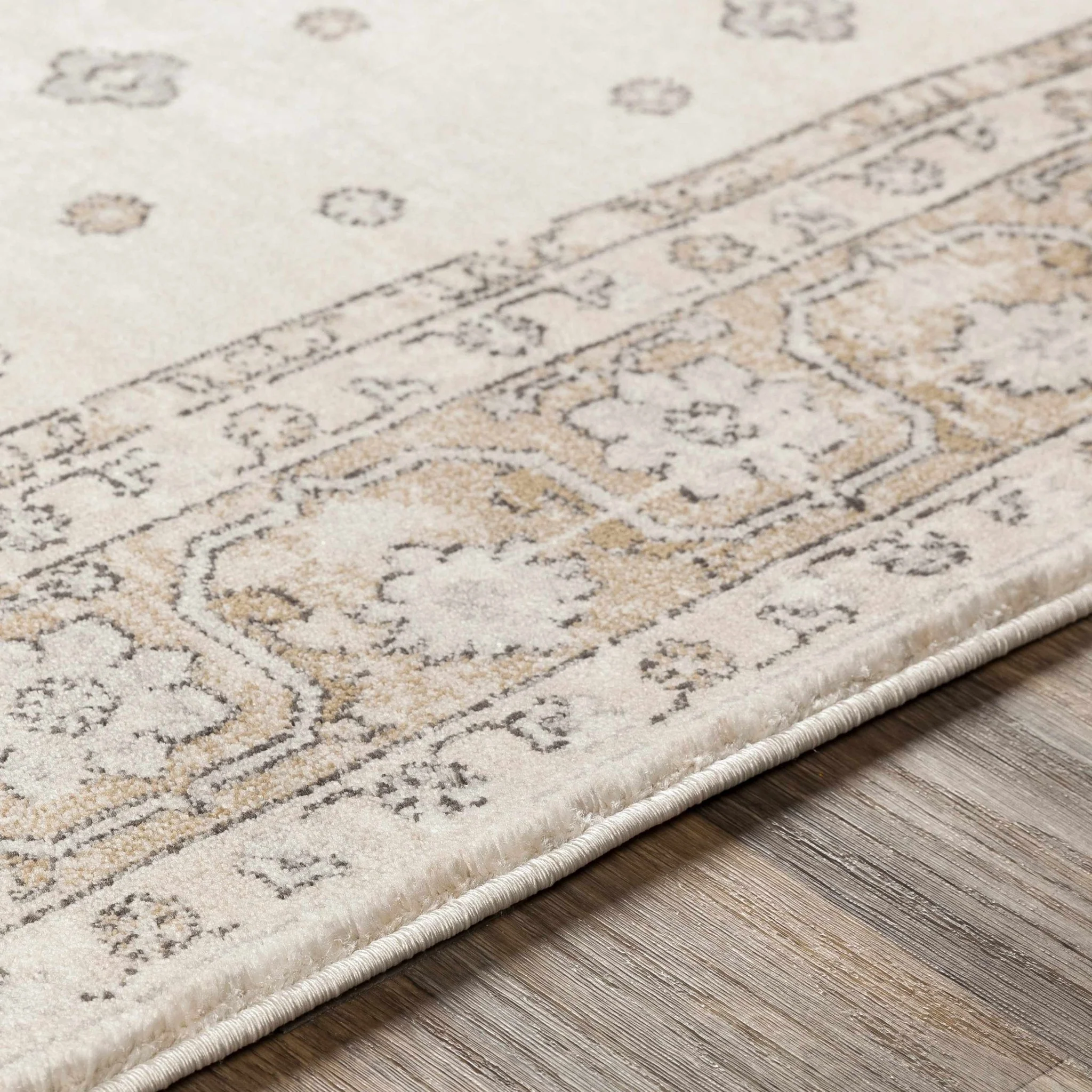 Traditional Turkish Design Beige, Brown, Gray, Sliver and Charcoal Medium pile Area rug - Image 9