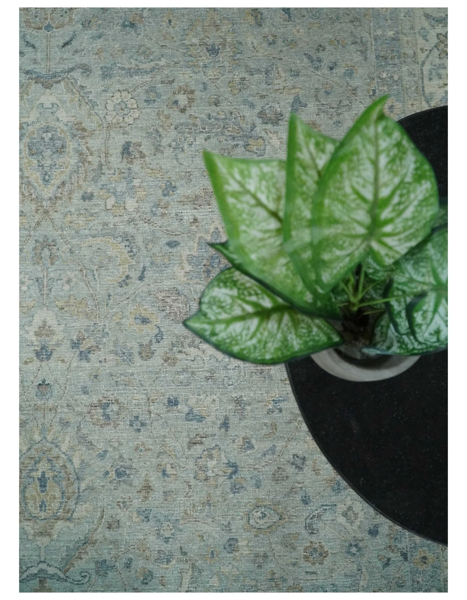 Vintage 6x9, 8x10 and 9x12 Hand Knotted Traditional Silver, brown and Beige Antique Textured Low Pile Distressed Wool Rug | TRD53114 - Image 9
