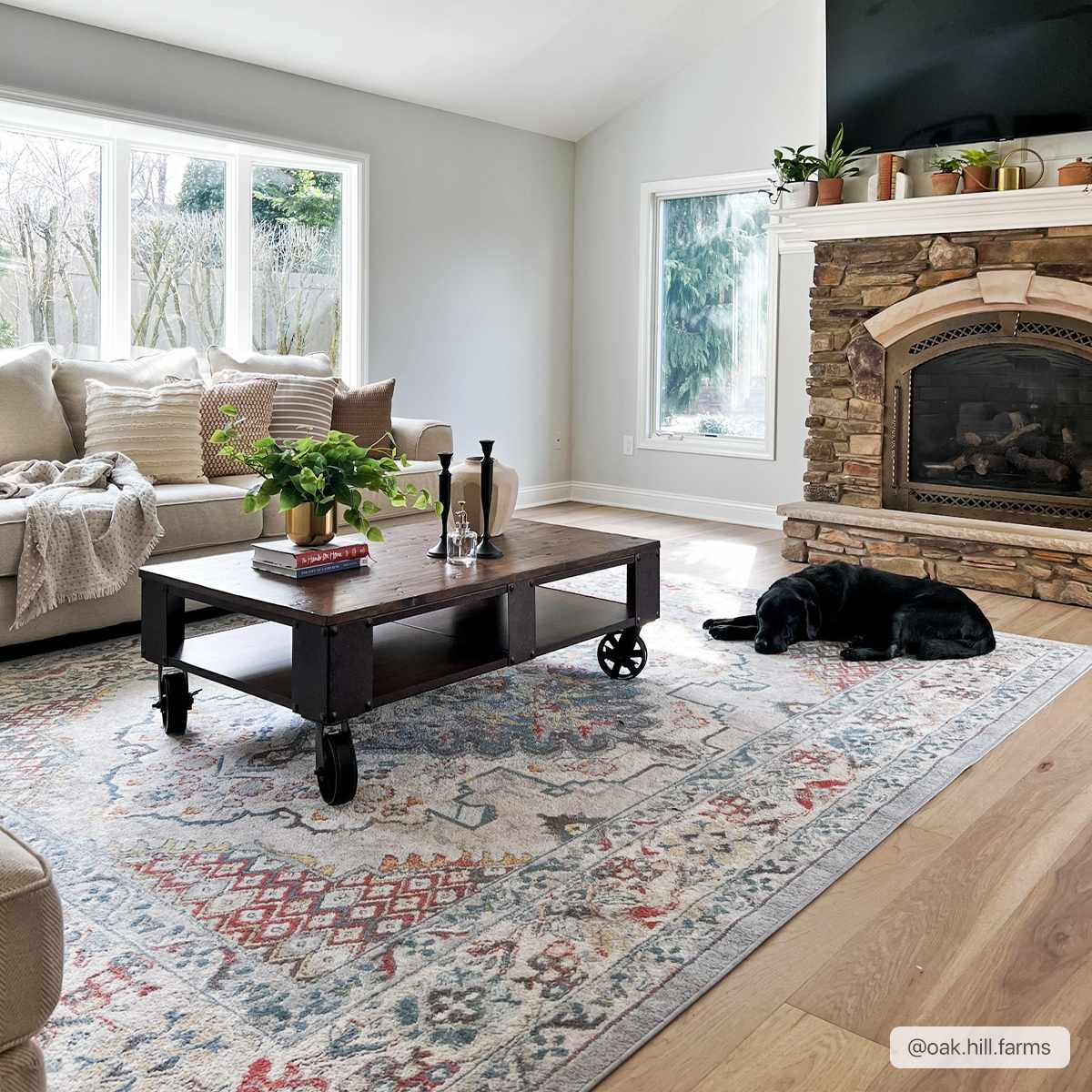 Antique look Traditional Machine Woven Tan, Charcoal, Ivory and Rust Multi Size Rug - Image 2
